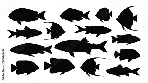 A group of fish silhouettes in various swimming positions