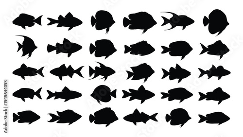 Collection of various fish silhouettes