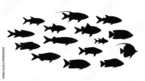 A school of fish swimming together