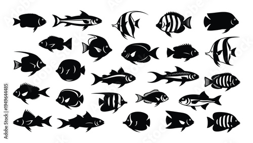 A collection of various fish in different shapes and sizes