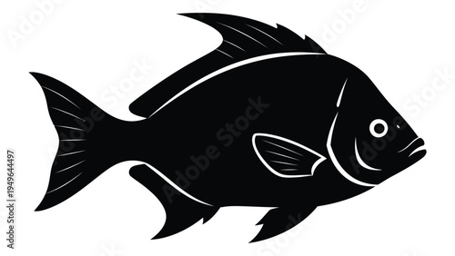 A black fish with a large eye and fins