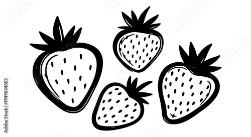 Hand Drawn Black and White Strawberries Illustration.