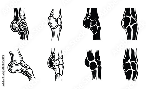Ankle bones vector set with outline and silhouette styles illustrating various human foot anatomy designs