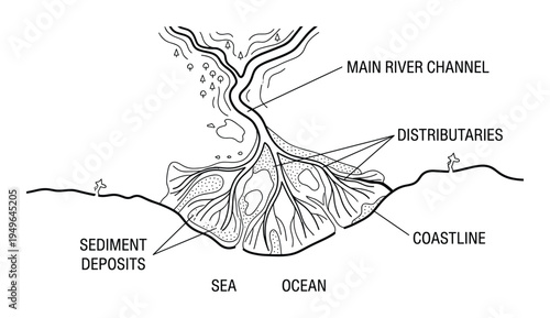 Diagram of river delta showing main channel distributaries coastline and sediment deposits vector illustration