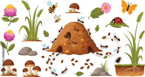 Cute insect vector illustration set with anthill colony ants bees ladybug butterfly mushrooms and garden plants isolated on white background for children.Cute insect vector illustration set with anthi