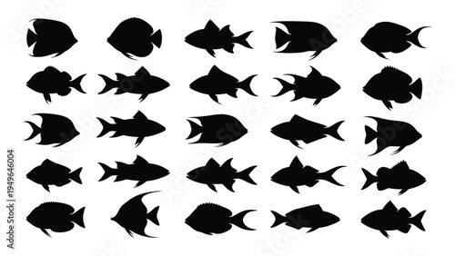 A collection of various fish silhouettes