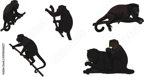 Monkey silhouettes, primate poses, climbing walking sitting, animal behavior, feeding social wildlife vector illustration design set