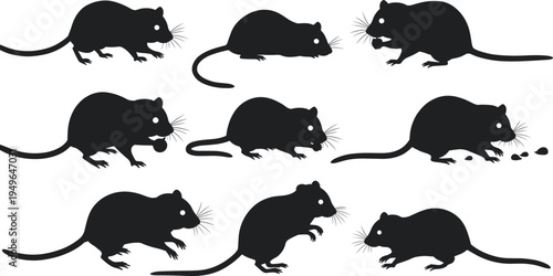 Mouse rat silhouettes, rodent poses, feeding walking crouching, animal behavior, pest wildlife vector illustration design set
