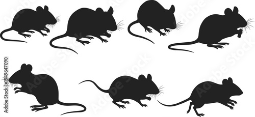 Mouse rat silhouettes, rodent poses, sitting standing running, animal behavior, pest wildlife vector illustration design set