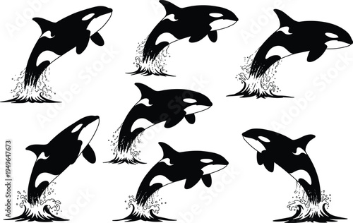 Orca silhouettes, killer whale, marine animals, ocean wildlife, leaping motion, aquatic mammals, sea creatures, nature illustration set