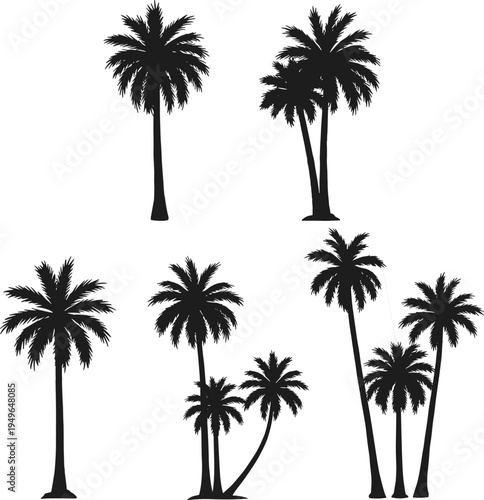 Palm tree silhouettes, tropical foliage pair, beach icons, exotic plants, summer nature shapes, jungle elements, vector palm duoPalm 