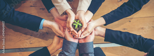 Banner Green business hands partners holding small tree plant eco company. Hand together trust mission team green hands stacked. Banner sustainable collaborate business green company with copy space