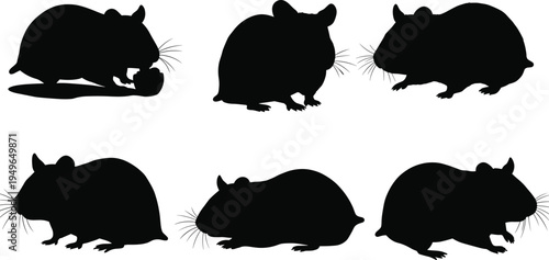 Rat mouse silhouettes, rodent poses, sitting standing crouching, animal behavior, pest wildlife vector illustration design set