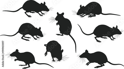 Rat silhouettes, rodent animals, wildlife behavior, standing posture, walking stance, whisker detail, long tail, animal illustration set