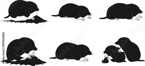 Rat wildlife silhouette set, small mammal poses, standing, feeding, running, nature vector art, animal sketch, pest control, zoology illustration