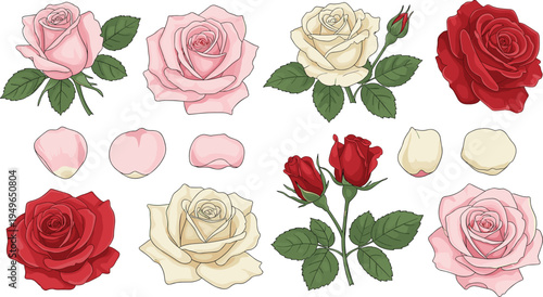 Set of flat botanical vector illustrations featuring orange tiger lilies with black spots and green leaves isolated on white background for floral patterns