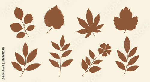 Collection of Autumn Leaves and a Flower in Brown Tones.