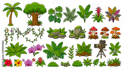 Jungle Nature Elements Collection with Cartoon Style Images