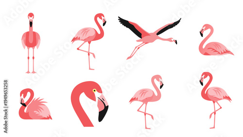 Collection of eight stylized pink flamingos in various poses and actions