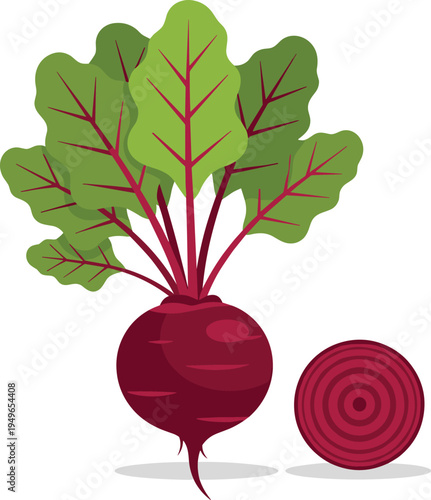 Fresh whole beetroot with green leaves and a sliced piece showing internal texture in a flat vector illustration
