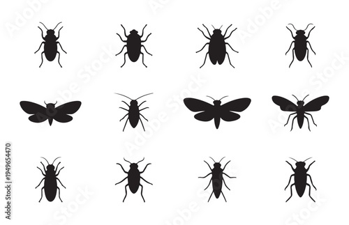 Set of black insect icons on white background, various bug silhouettes including beetles and moths