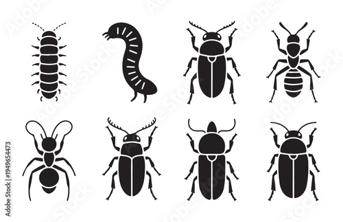 Set of black insect icons on white background, various bug silhouettes including beetles and ants