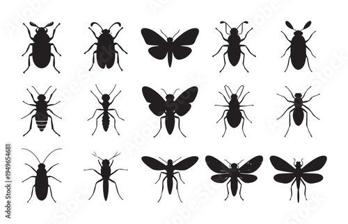 Various insect silhouettes top view collection of bug and butterfly drawings