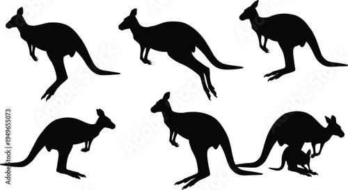 Kangaroo silhouettes in various poses with joey, Australian wildlife vector set, marsupial animal graphic, outback nature illustration, jumping and standing design elements collection