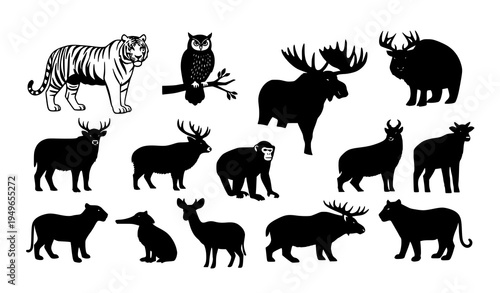 Diverse wildlife animal silhouettes vector element set