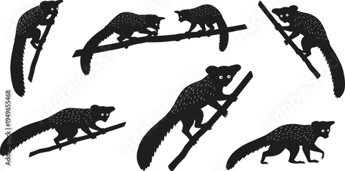 Lemur silhouettes, primate poses, climbing sitting crouching, animal behavior, arboreal wildlife vector illustration design set