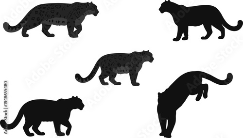 Leopard and panther silhouettes vector set, black flat design, big cat poses walking, standing, crouching, spotted fur, wild predator