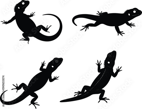 Lizard silhouettes in various poses, reptile wildlife art, tropical animal design, gecko and iguana shapes, nature illustration, flat vector illustration
