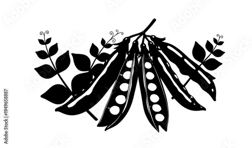 Green pea pods botanical food illustration vector