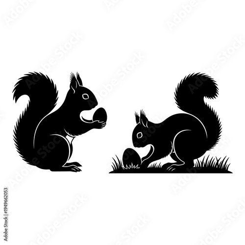 Two squirrels in a serene woodland setting enjoying nature’s bounty together Vector, illustration