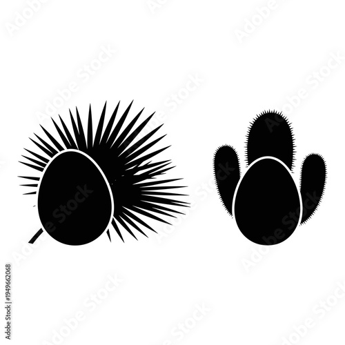 Comparison of barrel cactus and prickly pear cactus silhouettes Vector, illustration