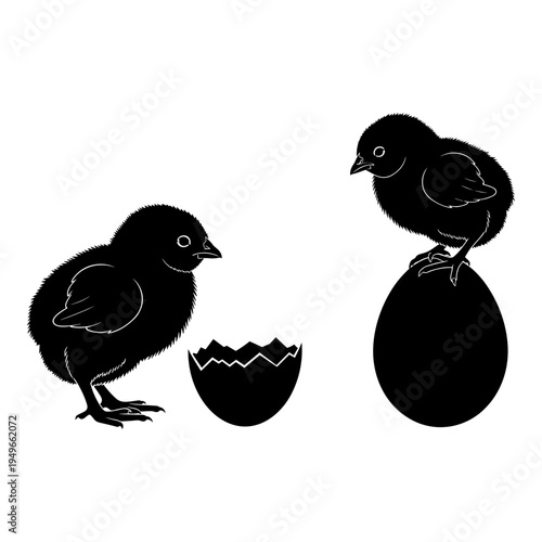 Two baby chicks and an egg depicting the hatching process Vector, illustration