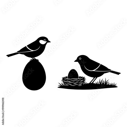 Black and white bird perched beside a nest with an egg and another bird standing nearby Vector, illustration