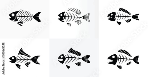 An illustration depicts three fish skeletons arranged horizontally on a surface