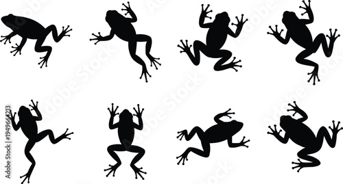 Tree frog silhouette set collection isolated vector illustration showing climbing frogs in different poses amphibian wildlife black design