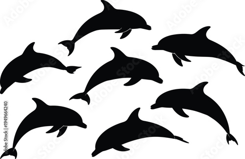 Dolphin silhouette set collection isolated vector illustration showing jumping dolphins in different poses marine wildlife ocean animal design