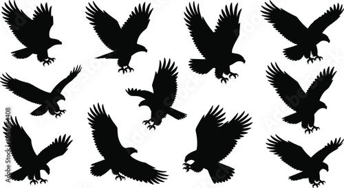 Flying eagle bird silhouette set isolated vector collection showing hunting raptor birds with spread wings in different flight poses