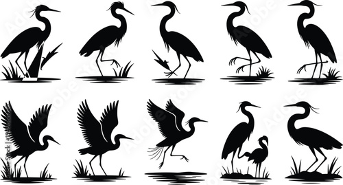 Heron bird silhouette set, egret wading bird vector collection, flying and standing water bird silhouettes isolated nature wildlife illustration