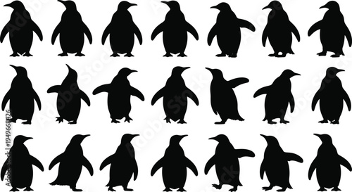 Penguin silhouette set, cute penguin bird vector collection, standing and walking antarctic penguin silhouettes isolated wildlife illustration pack