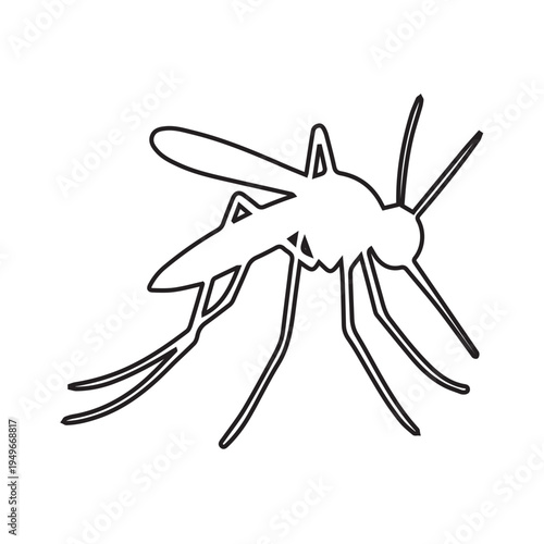 Mosquito insect outline