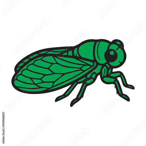 Green Cicada Insect