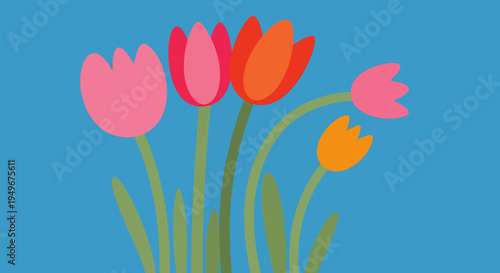 A vibrant bouquet of colorful tulips blooming against a bright blue background, perfect for spring and floral themes