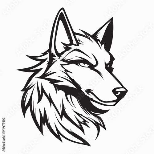 Wild Jackal Portrait with Fierce and Sharp Gaze Vector On White Background