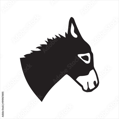 Real donkey head on white background.
