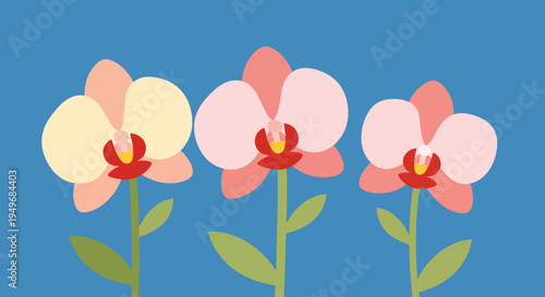 Three delicate orchid flowers in soft peach and pink hues against a vibrant blue background, a simple and elegant botanical illustration