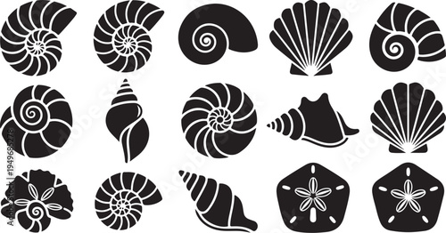 Collection of various seashell silhouettes on white background
